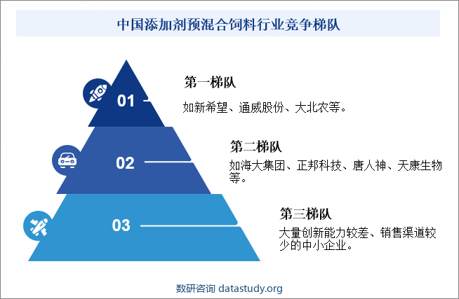 中国添加剂预混合饲料行业竞争梯队