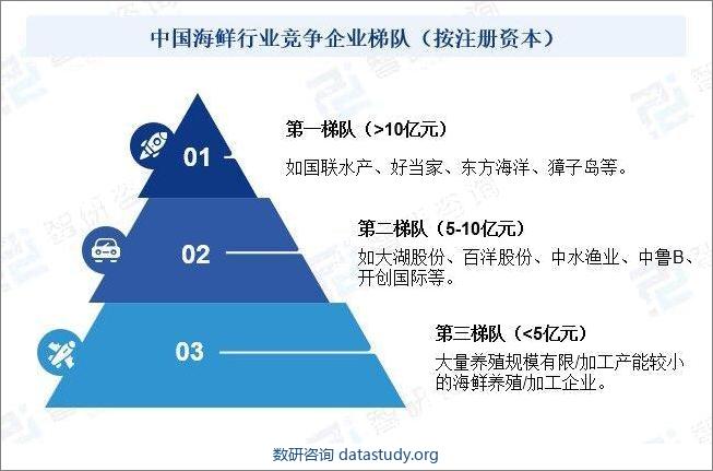 中国海鲜行业竞争企业梯队（按注册资本）