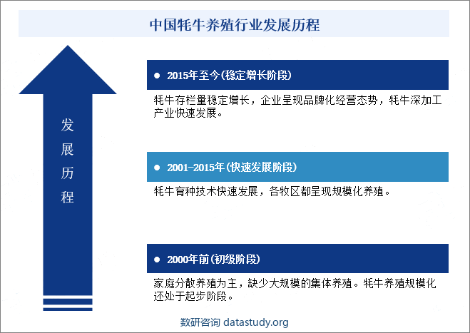 中国牦牛养殖行业发展历程