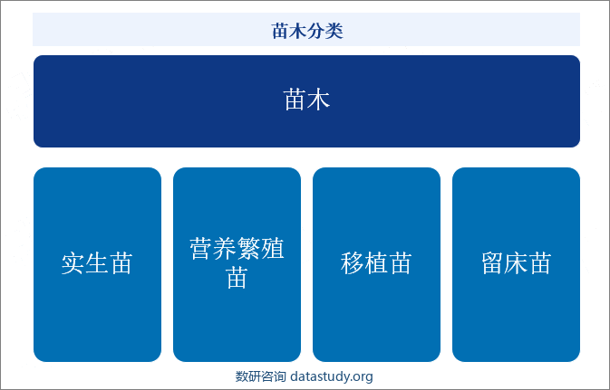 苗木分类