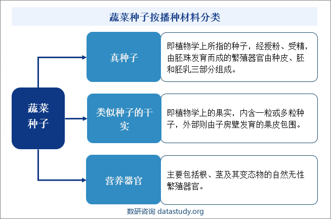 蔬菜种子按播种材料分类