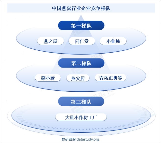 中国燕窝行业企业竞争梯队