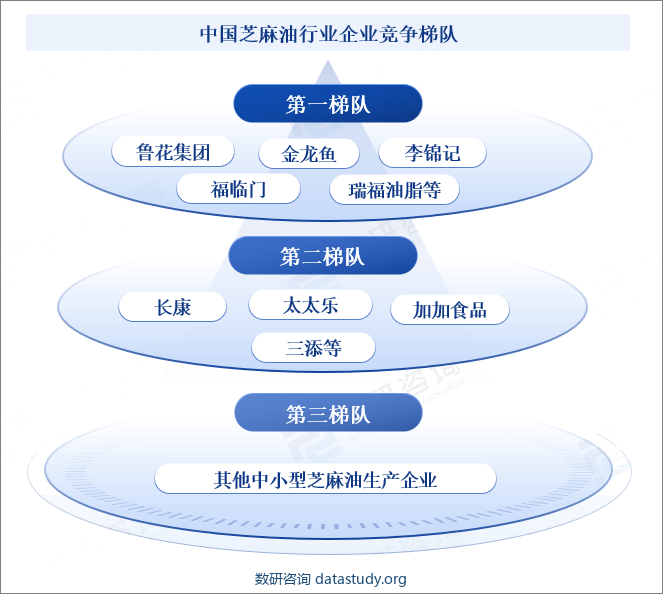 中国芝麻油行业企业竞争梯队