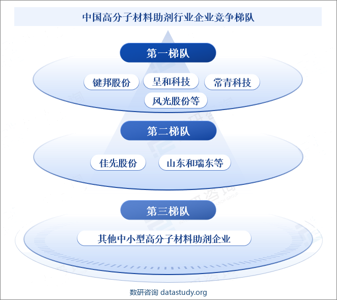 中国高分子材料助剂行业企业竞争梯队