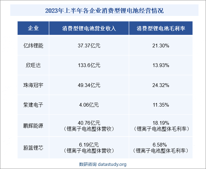 2023年上半年各企业消费型锂电池经营情况