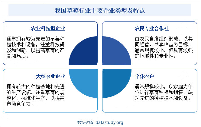 我国草莓行业主要企业类型及特点