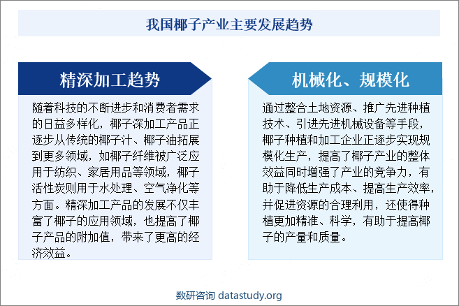 我国椰子产业主要发展趋势