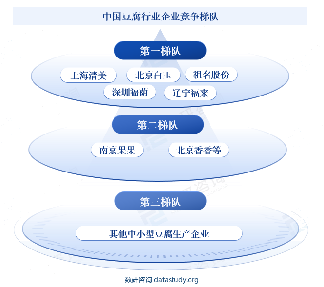 中国豆腐行业企业竞争梯队
