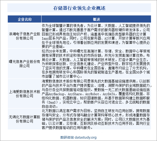 存储器行业领先企业概述