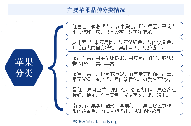 主要苹果品种分类情况