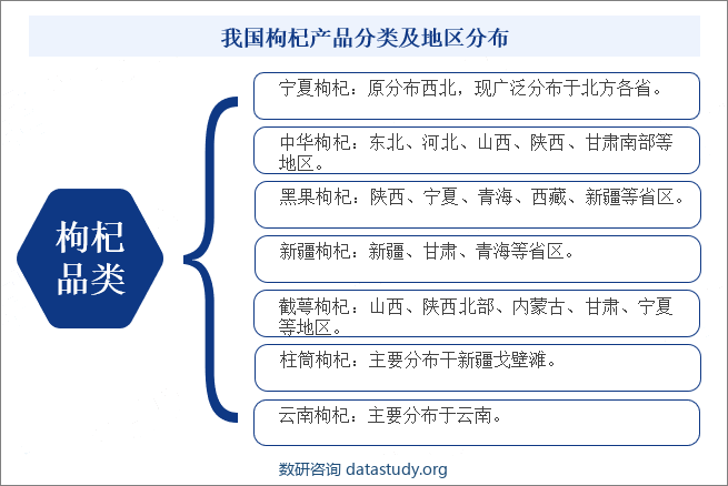 我国枸杞产品分类及地区分布