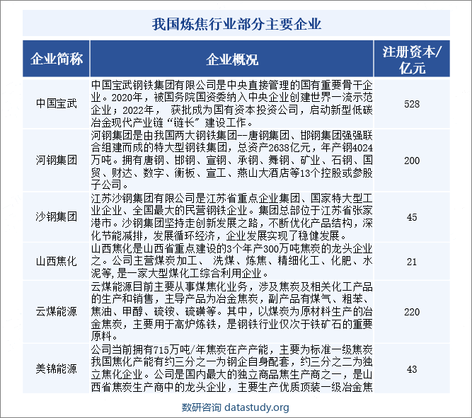 我国炼焦行业部分主要企业