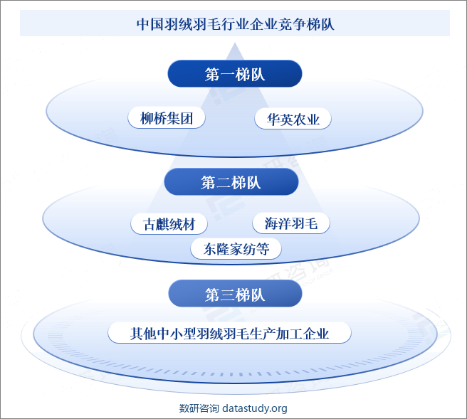 中国羽绒羽毛行业企业竞争梯队