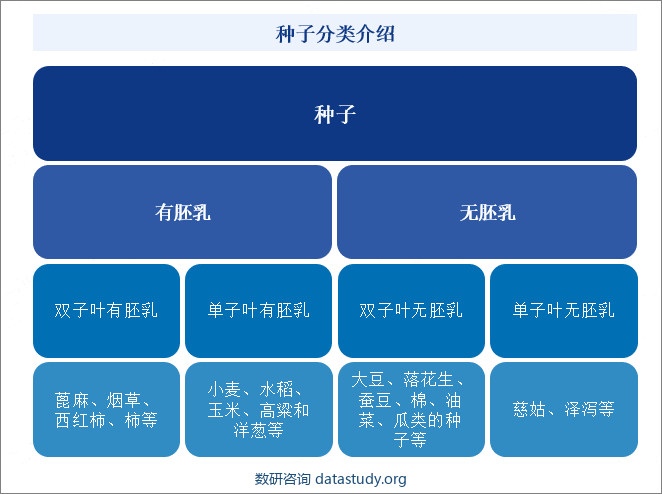 种子分类介绍