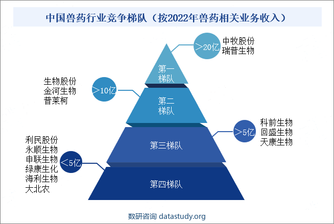 中国兽药行业竞争梯队（按2022年兽药相关业务收入）