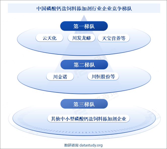 中国磷酸钙盐饲料添加剂行业企业竞争梯队