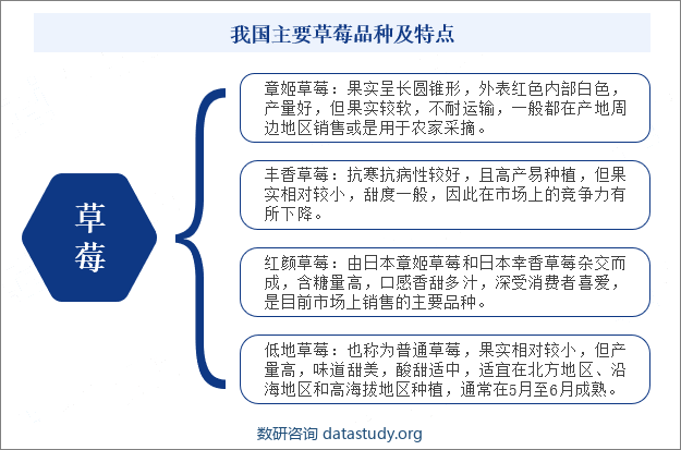 我国主要草莓品种及特点