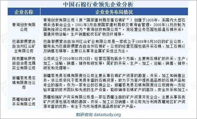 中国石棉行业领先企业分析