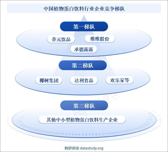 中国植物蛋白饮料行业企业竞争梯队