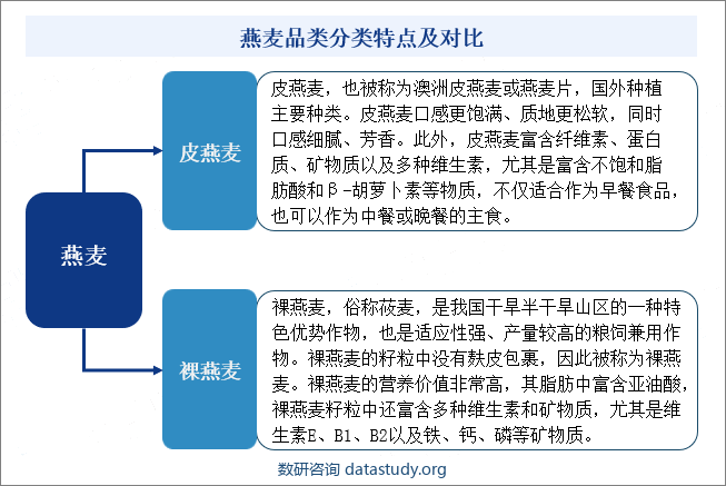 燕麦品类分类特点及对比