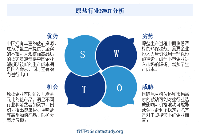 原盐行业SWOT分析