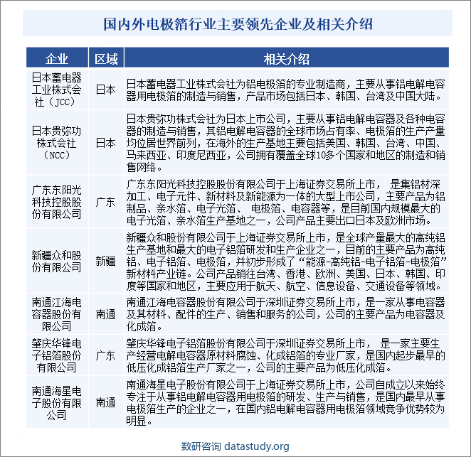 国内外电极箔行业主要领先企业及相关介绍