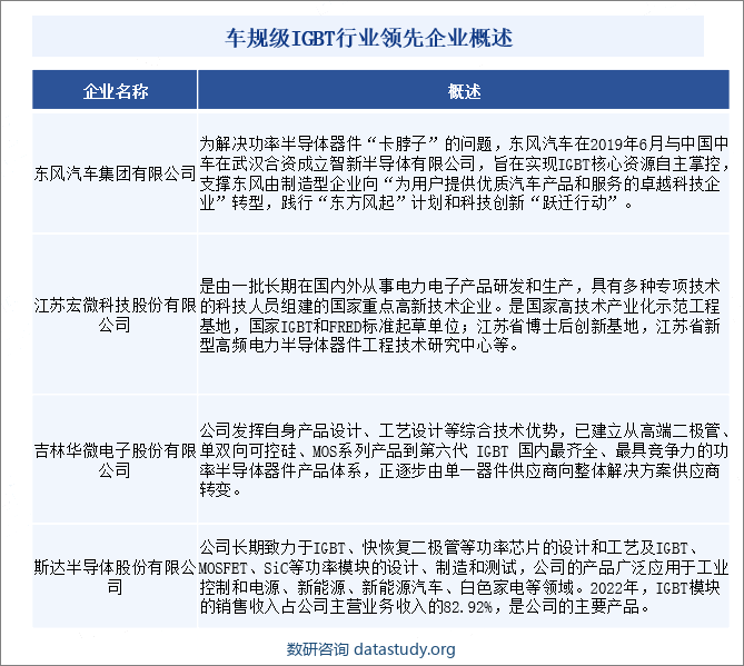 车规级IGBT行业领先企业概述