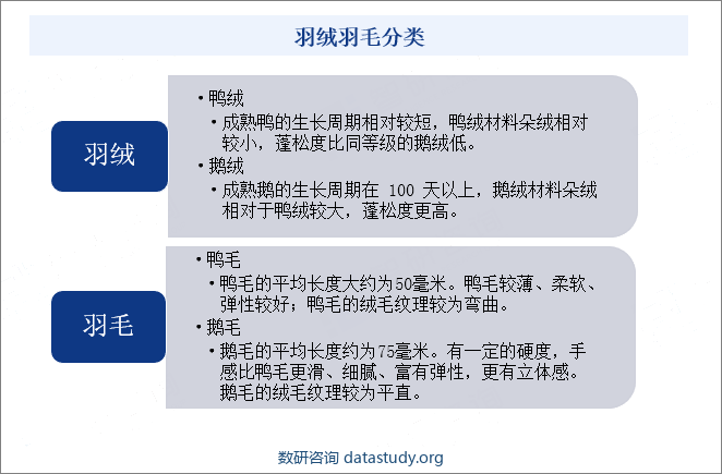 羽绒羽毛分类