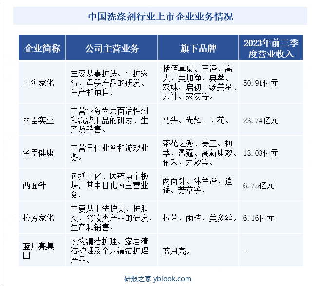 中国洗涤剂行业上市企业业务情况