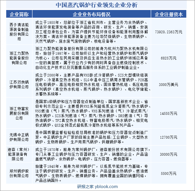 中国蒸汽锅炉行业领先企业分析