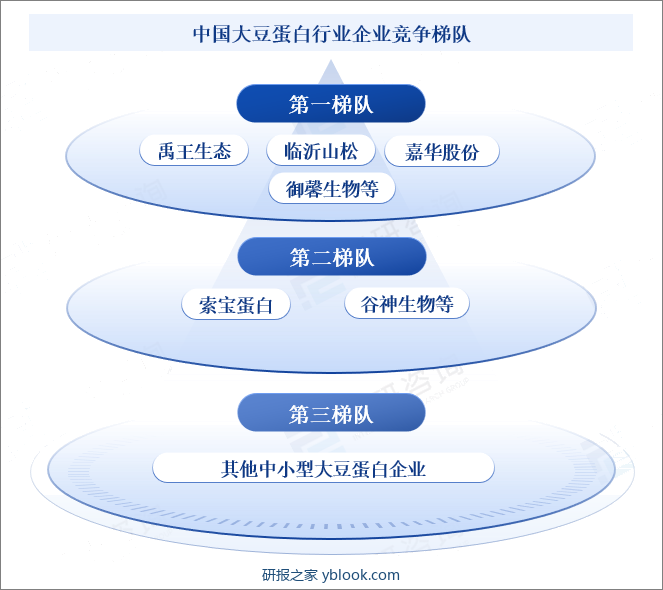 中国大豆蛋白行业企业竞争梯队