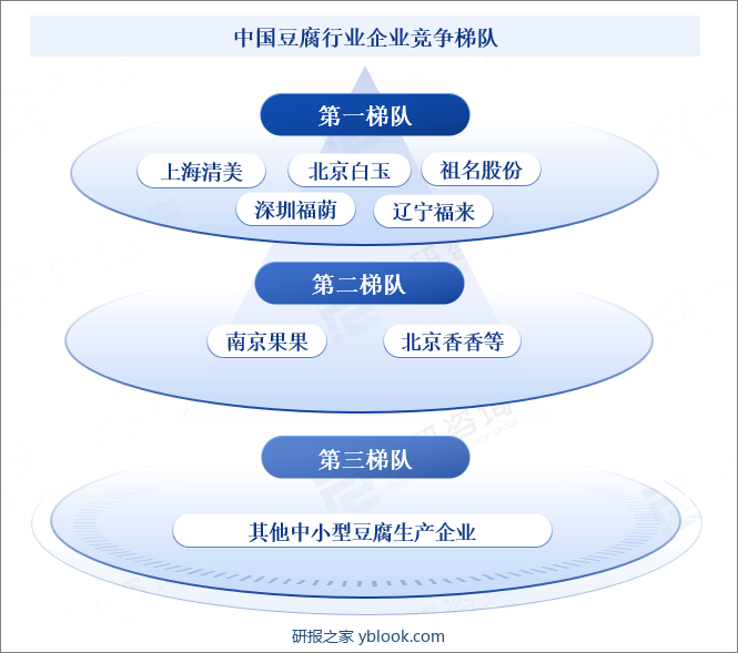 中国豆腐行业企业竞争梯队