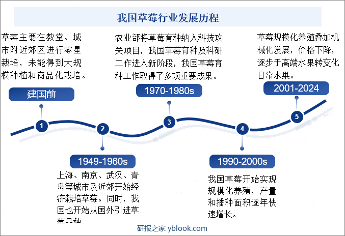 我国草莓行业发展历程