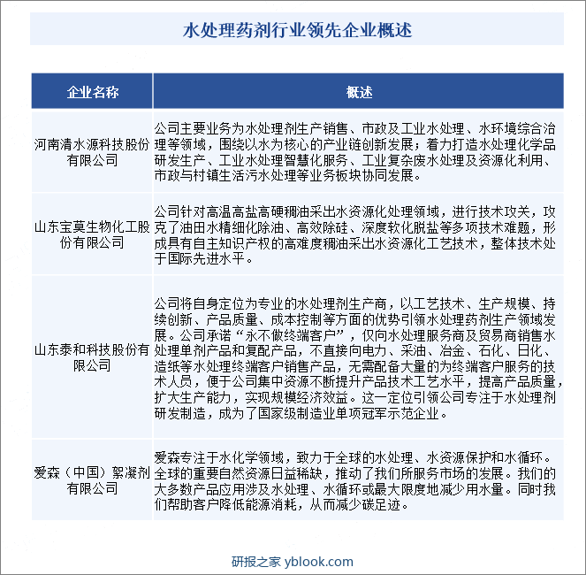 水处理药剂行业领先企业概述