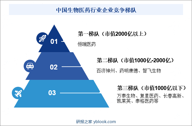 中国生物医药行业企业竞争梯队