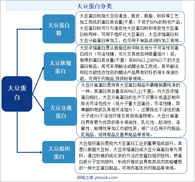 大豆蛋白分类