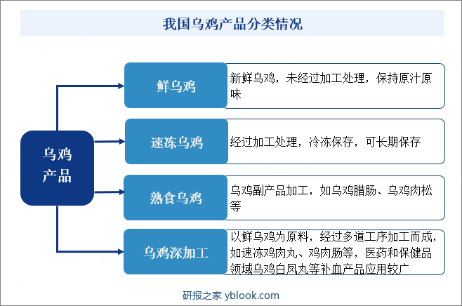 我国乌鸡产品分类情况