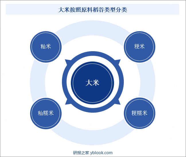 大米按照原料稻谷类型分类