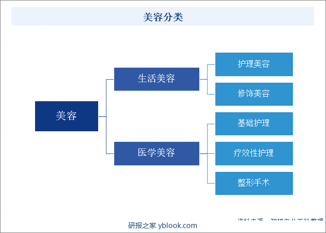 美容分类