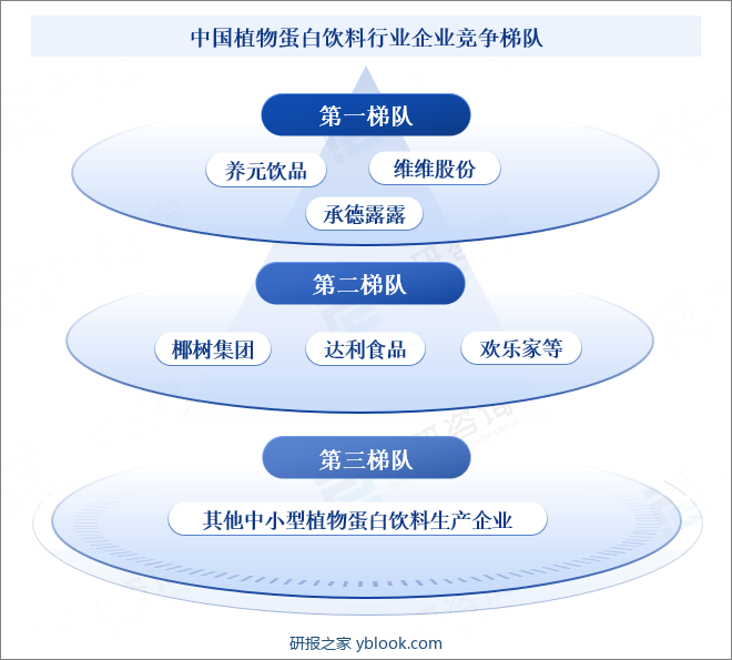 中国植物蛋白饮料行业企业竞争梯队