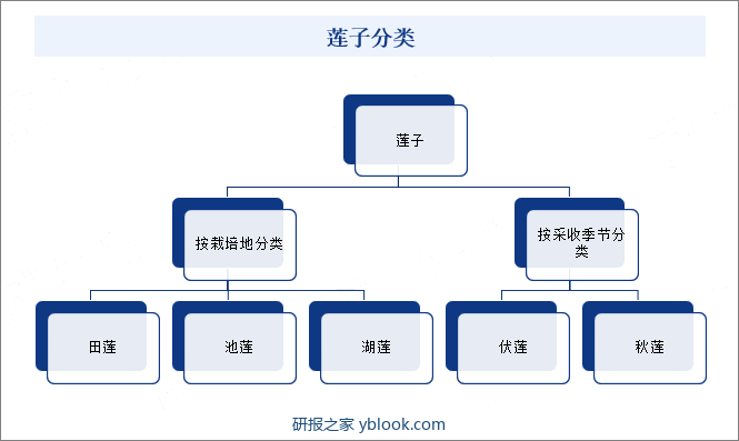 莲子分类