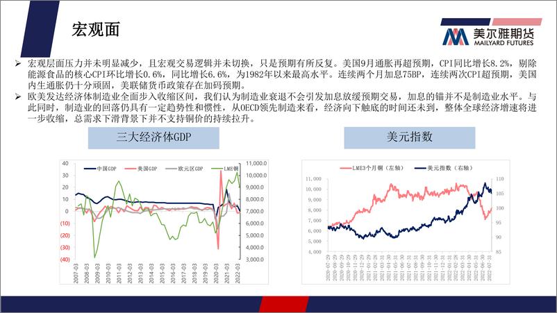 《铜月报：通胀预期走强难持续，铜价压力不减-20221031-美尔雅期货-26页》 - 第6页预览图