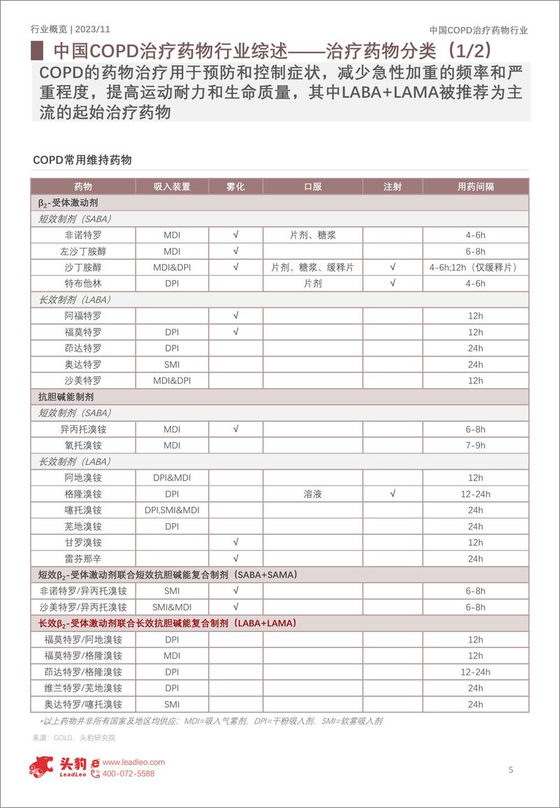 《2023年中国COPD治疗药物行业概览：生物药研发热潮换发市场生机》 - 第5页预览图
