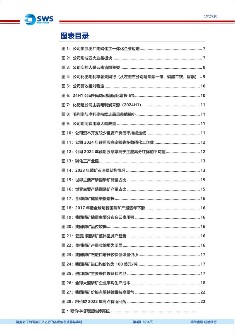 《云天化(600096)磷资源赋能矿化一体，长景气携高分红共振-240908-申万宏源-34页》 - 第4页预览图