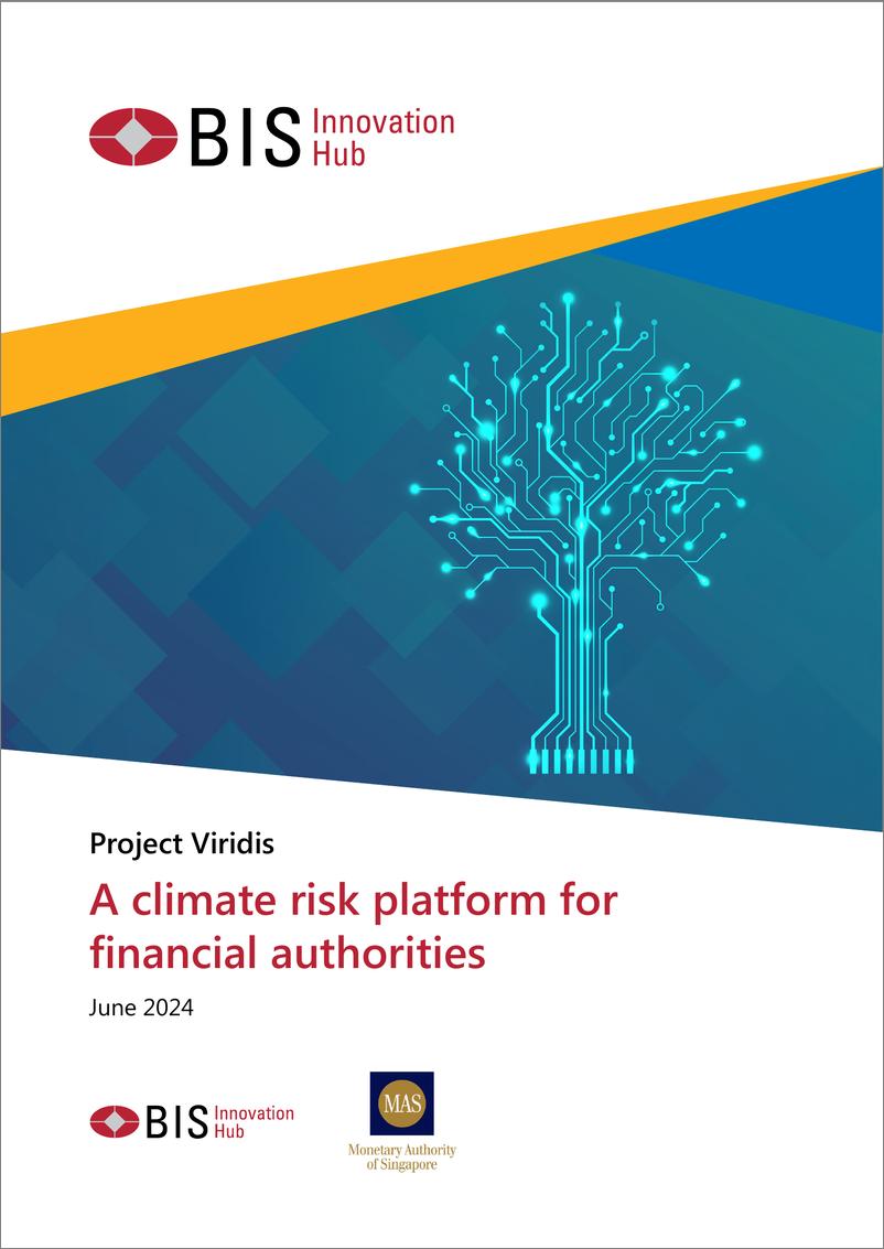《国际清算银行-Viridis项目：金融当局的气候风险平台（英）-2024.6-44页》 - 第1页预览图