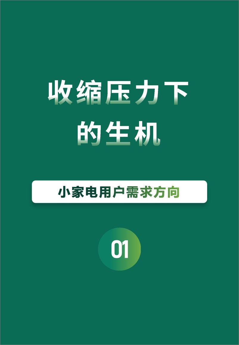 《【新生代】2024 小家电用户需求及消费趋势-41页》 - 第4页预览图