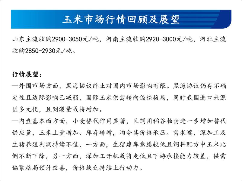 《玉米和玉米淀粉月报：黑海协议终止对国内市场影响有限-20230726-宏源期货-27页》 - 第5页预览图