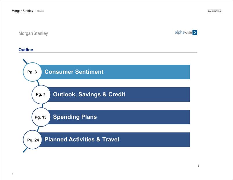 《Morgan Stanley-Thematic Alpha AlphaWise US Consumer Pulse Survey Wave 60-112084102》 - 第6页预览图