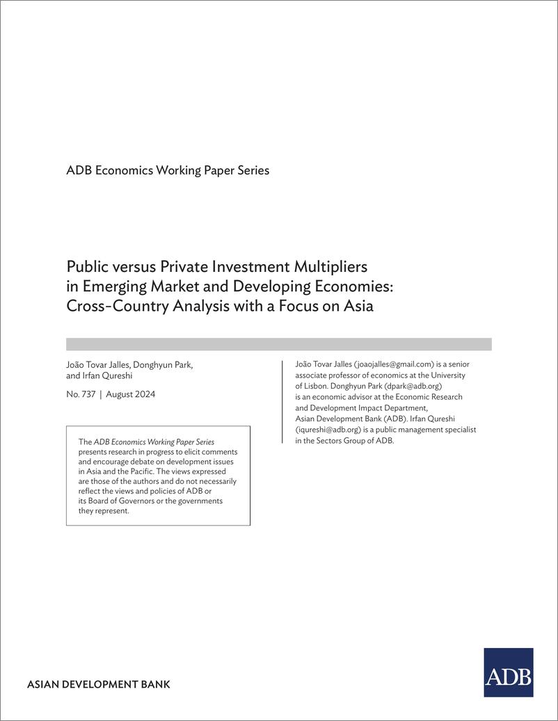 《ADB亚洲开发银行_2024新兴市场和发展中经济体的公共与私人投资乘数_以亚洲为中心的跨国分析报告_》 - 第2页预览图