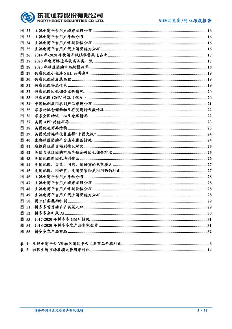 《社区团购：起于团长，成于供应链-东北证券-20210331》 - 第3页预览图